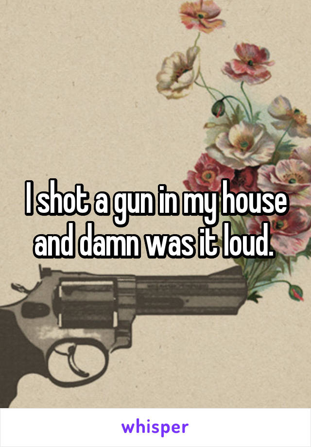 I shot a gun in my house and damn was it loud. 