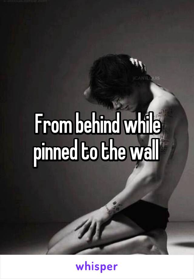 From behind while pinned to the wall 