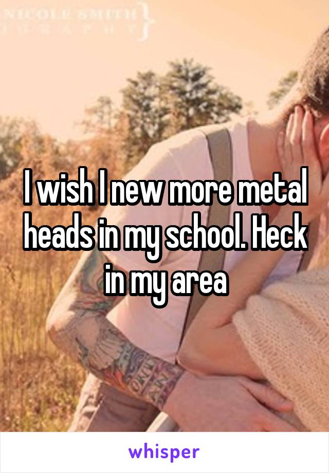 I wish I new more metal heads in my school. Heck in my area