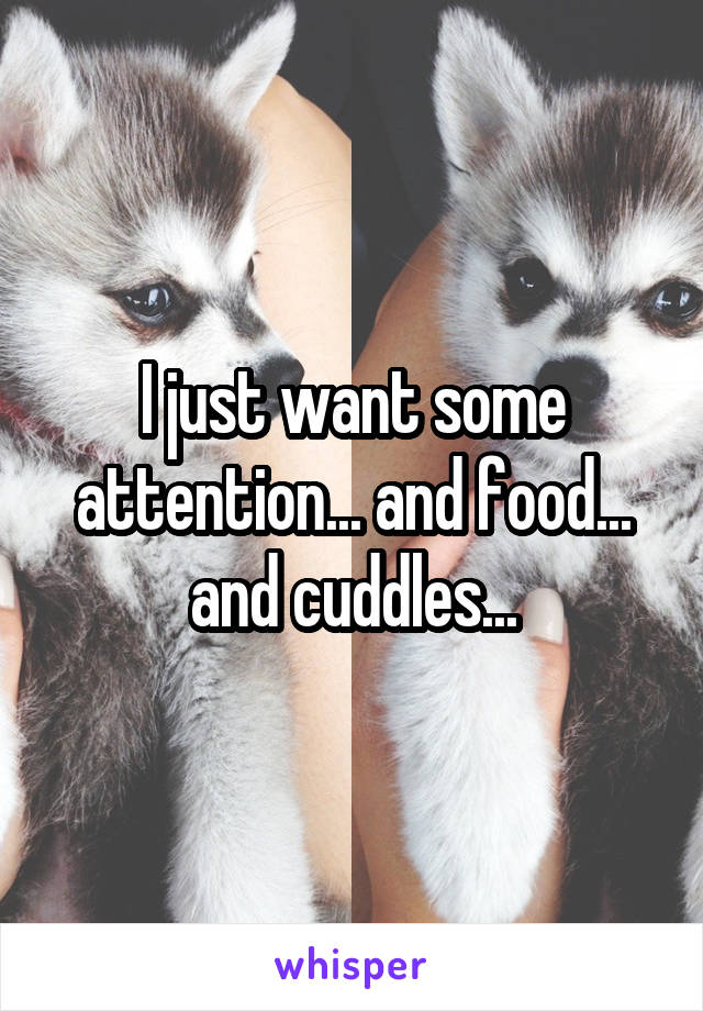 I just want some attention... and food... and cuddles...