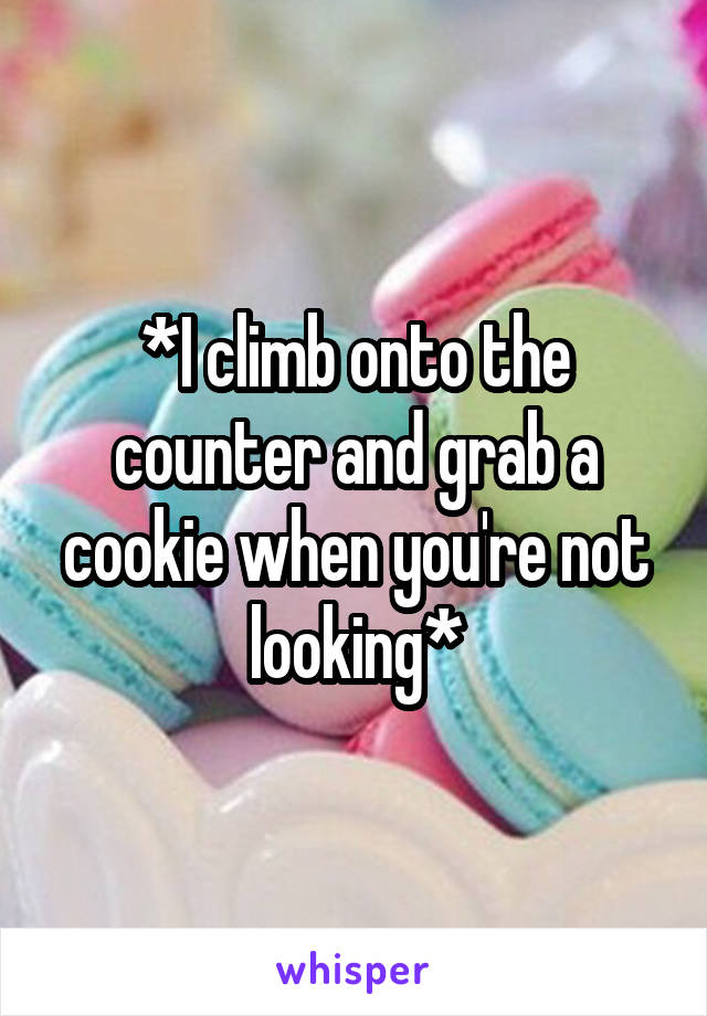 *I climb onto the counter and grab a cookie when you're not looking*