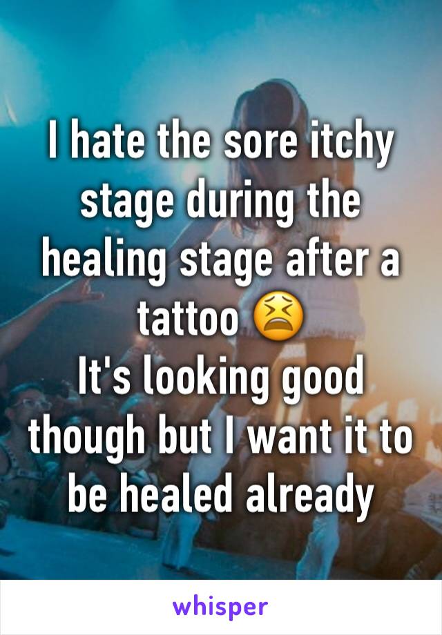 I hate the sore itchy stage during the healing stage after a tattoo 😫
It's looking good though but I want it to be healed already 