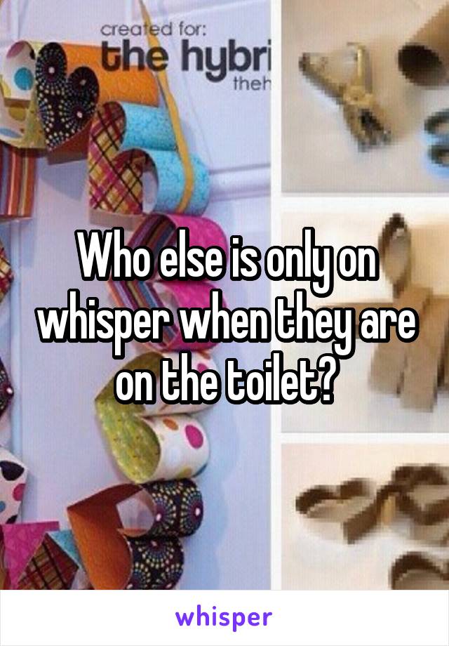 Who else is only on whisper when they are on the toilet?