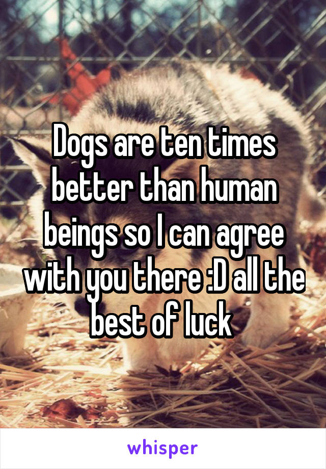 Dogs are ten times better than human beings so I can agree with you there :D all the best of luck 