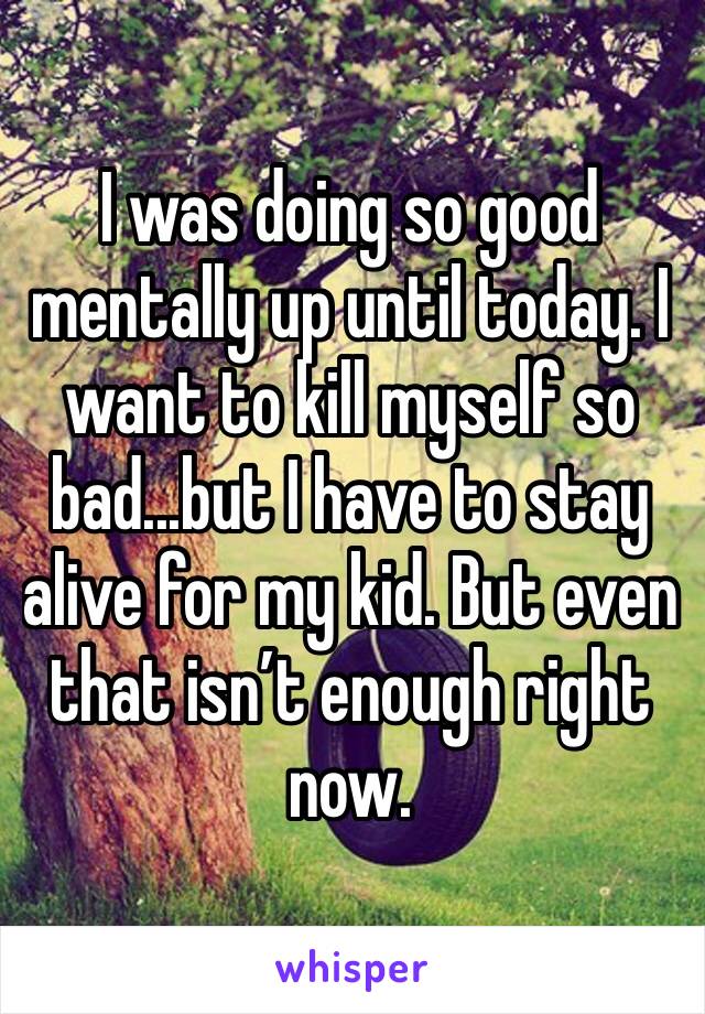 I was doing so good mentally up until today. I want to kill myself so bad...but I have to stay alive for my kid. But even that isn’t enough right now. 