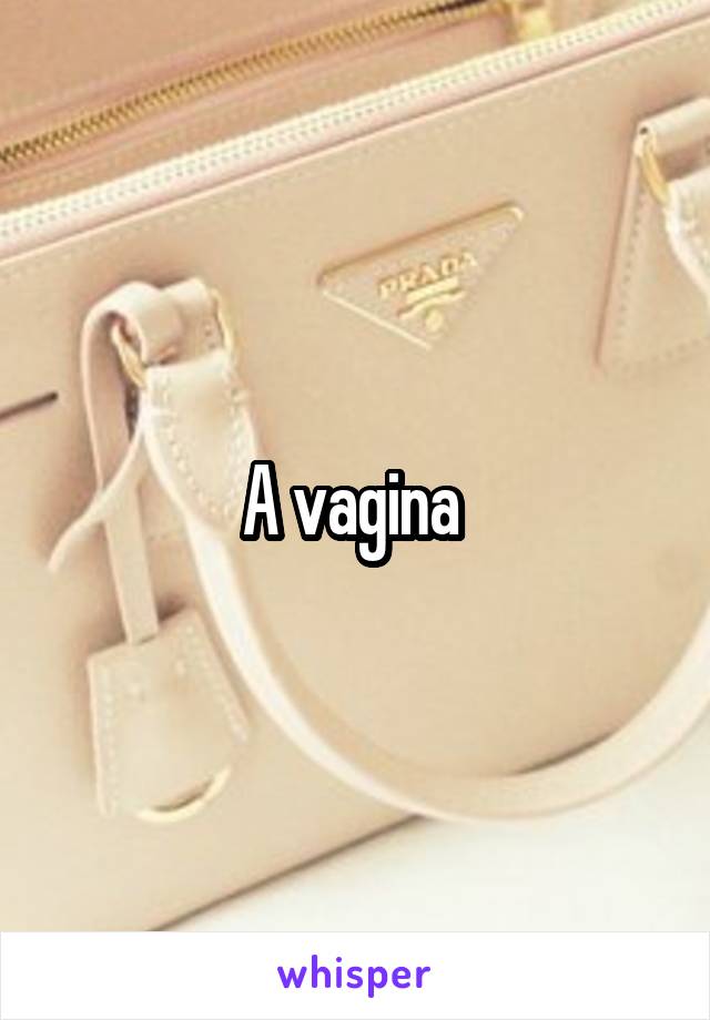 A vagina 