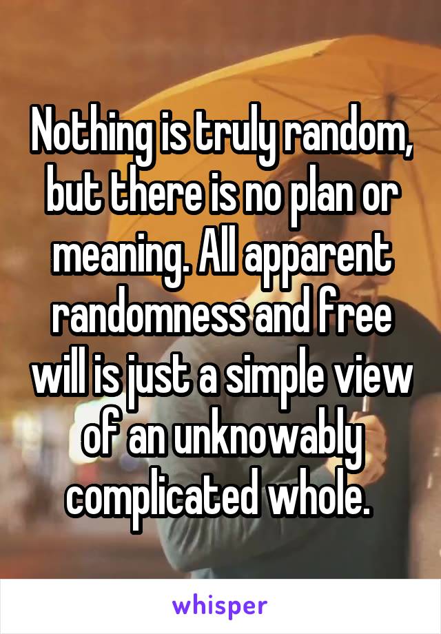 Nothing is truly random, but there is no plan or meaning. All apparent randomness and free will is just a simple view of an unknowably complicated whole. 