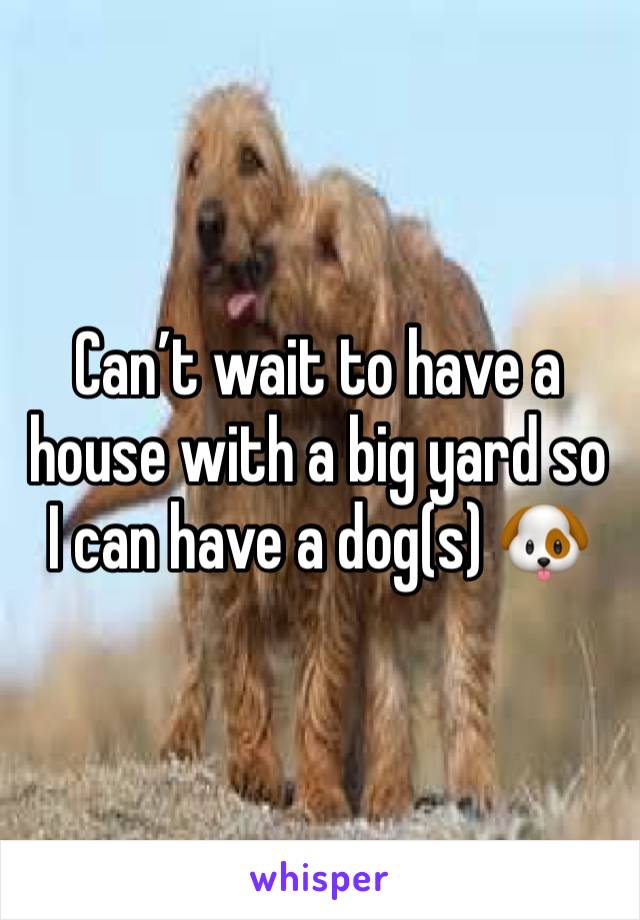 Can’t wait to have a house with a big yard so I can have a dog(s) 🐶