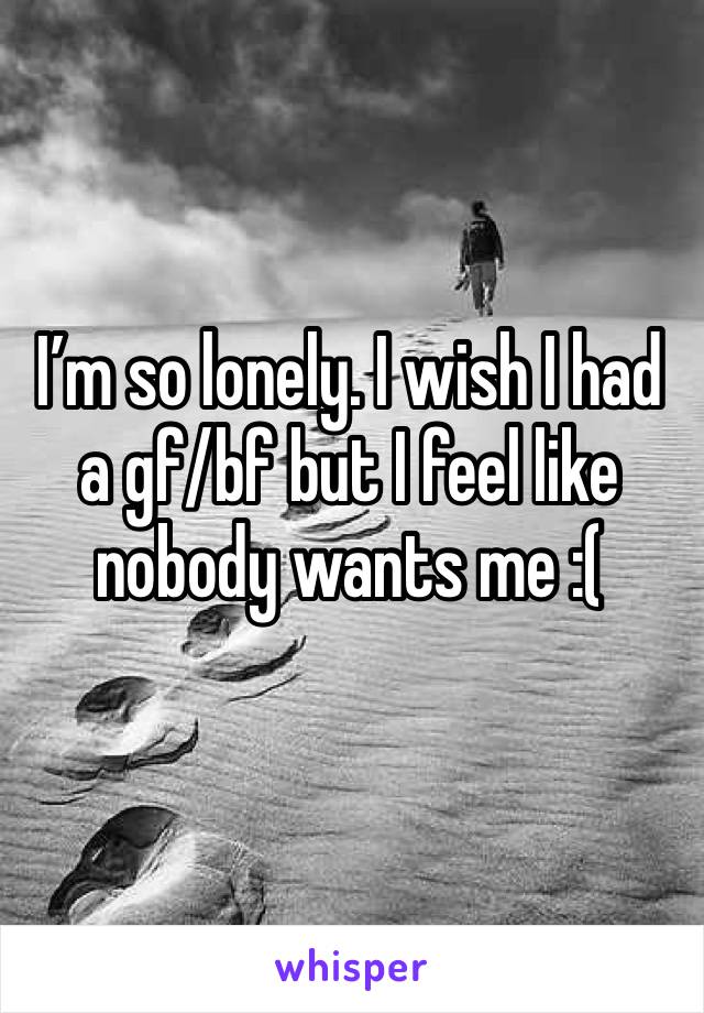 I’m so lonely. I wish I had a gf/bf but I feel like nobody wants me :( 