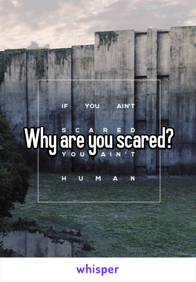 Why are you scared?