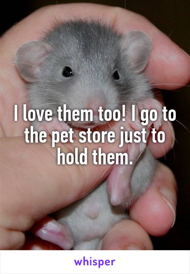 I love them too! I go to the pet store just to hold them.