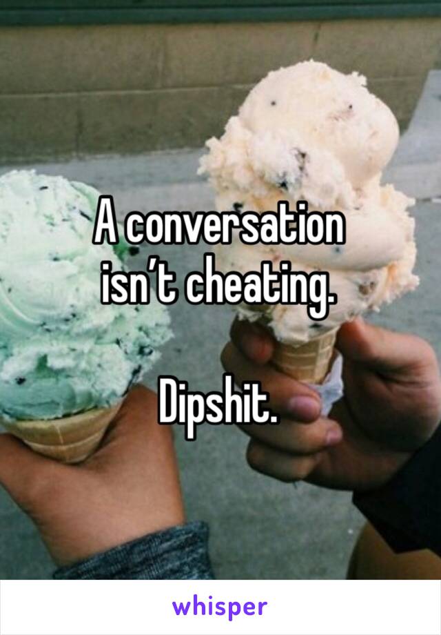 A conversation isn’t cheating. 

Dipshit. 