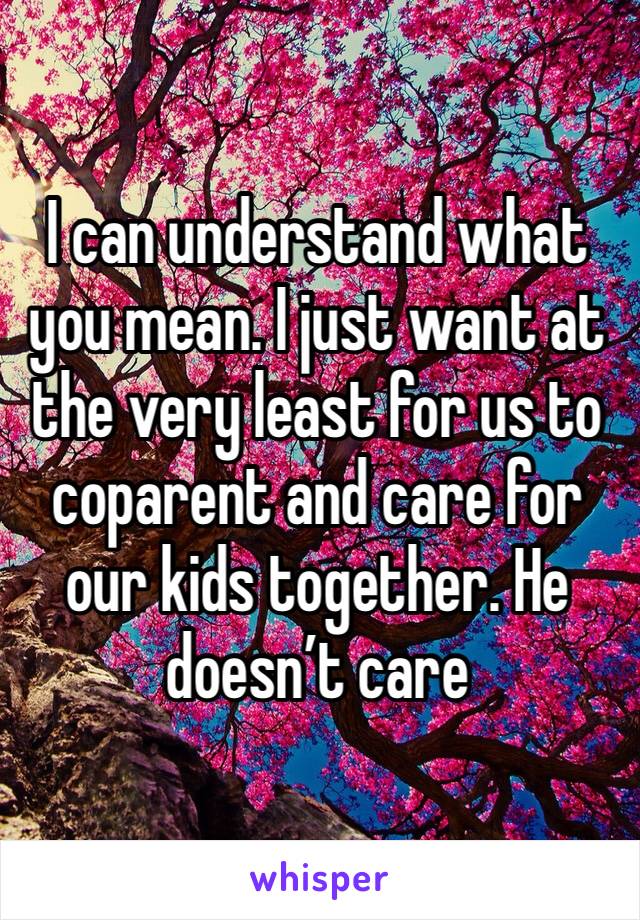 I can understand what you mean. I just want at the very least for us to coparent and care for our kids together. He doesn’t care 