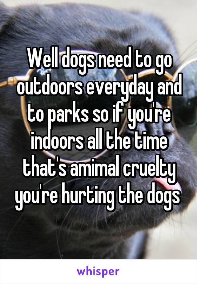 Well dogs need to go outdoors everyday and to parks so if you're indoors all the time that's amimal cruelty you're hurting the dogs 
 