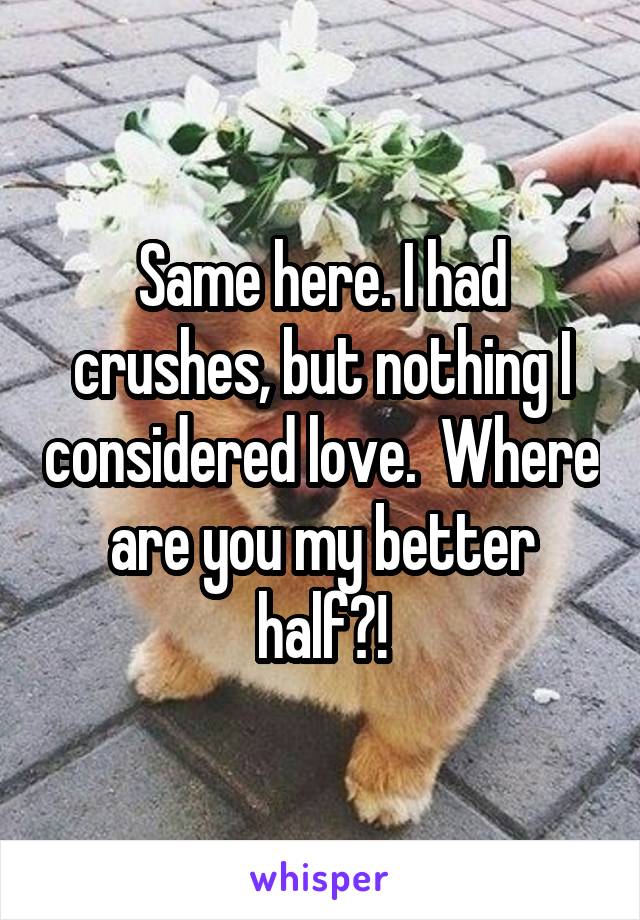 Same here. I had crushes, but nothing I considered love.  Where are you my better half?!