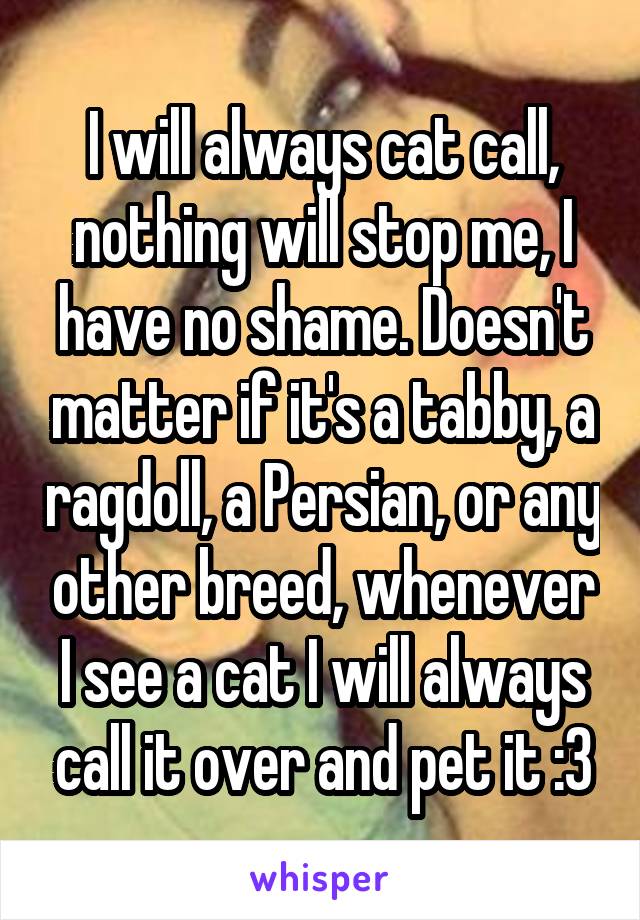 I will always cat call, nothing will stop me, I have no shame. Doesn't matter if it's a tabby, a ragdoll, a Persian, or any other breed, whenever I see a cat I will always call it over and pet it :3