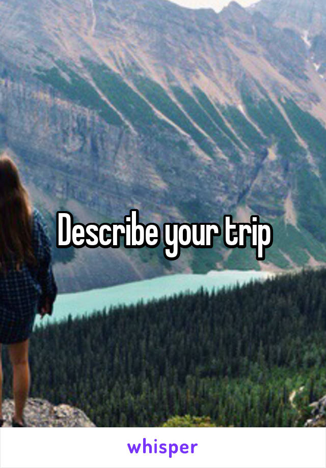 Describe your trip