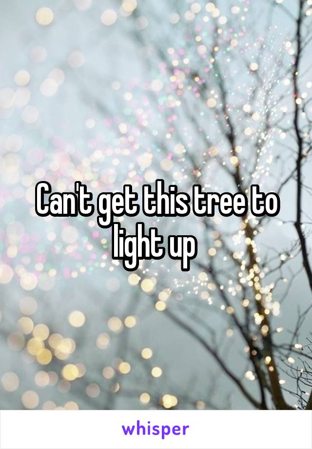 Can't get this tree to light up 