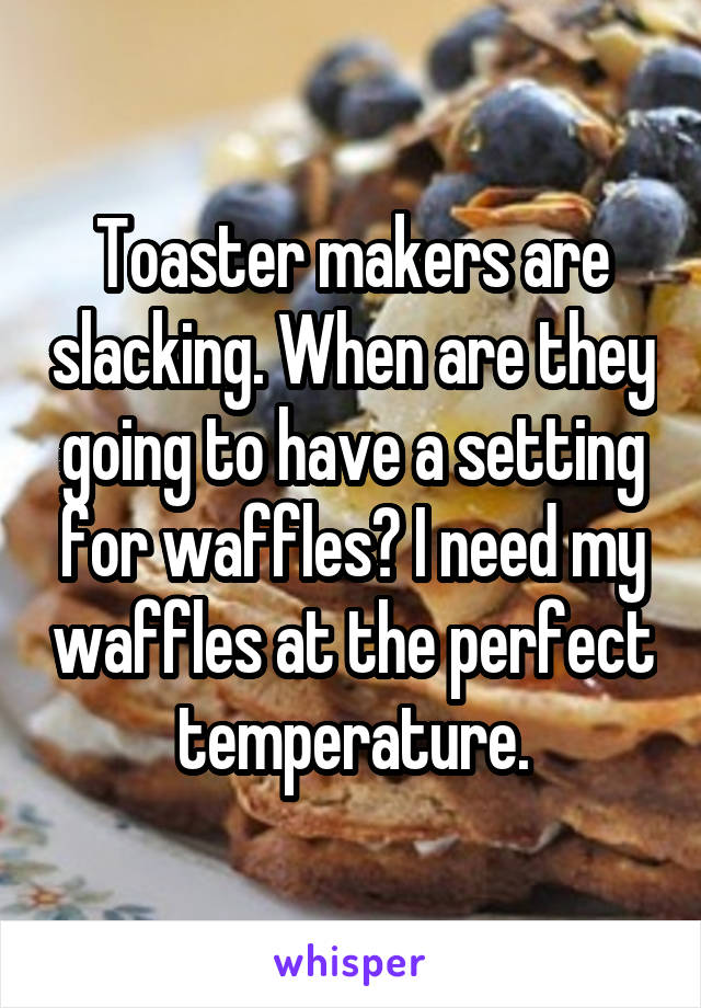 Toaster makers are slacking. When are they going to have a setting for waffles? I need my waffles at the perfect temperature.