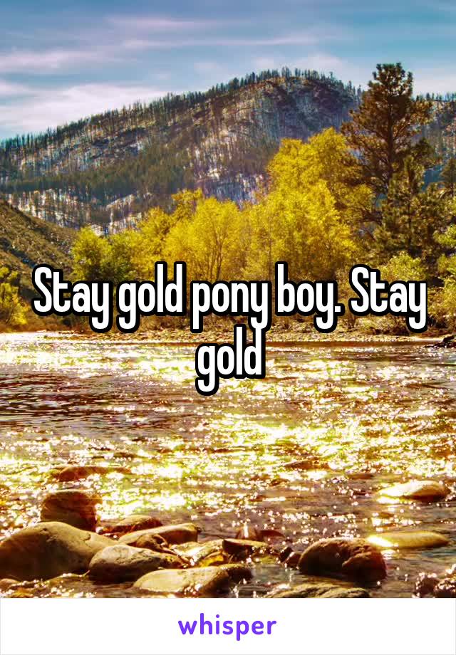 Stay gold pony boy. Stay gold