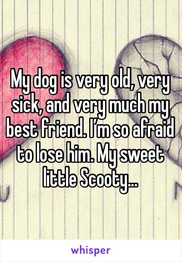 My dog is very old, very sick, and very much my best friend. I’m so afraid to lose him. My sweet little Scooty...