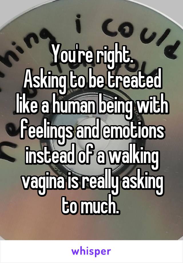 You're right.
Asking to be treated like a human being with feelings and emotions instead of a walking vagina is really asking to much. 