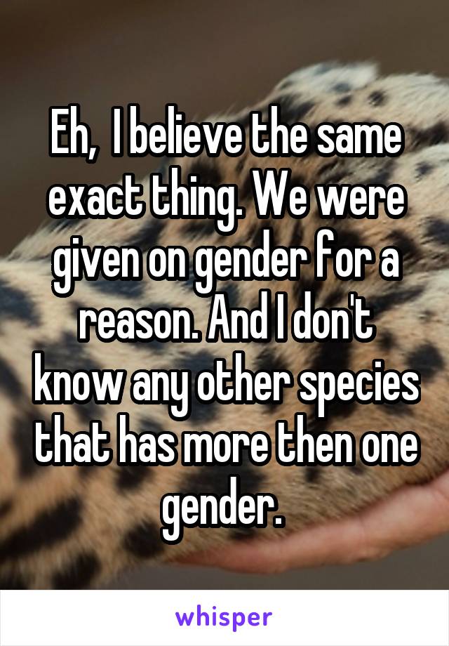 Eh,  I believe the same exact thing. We were given on gender for a reason. And I don't know any other species that has more then one gender. 