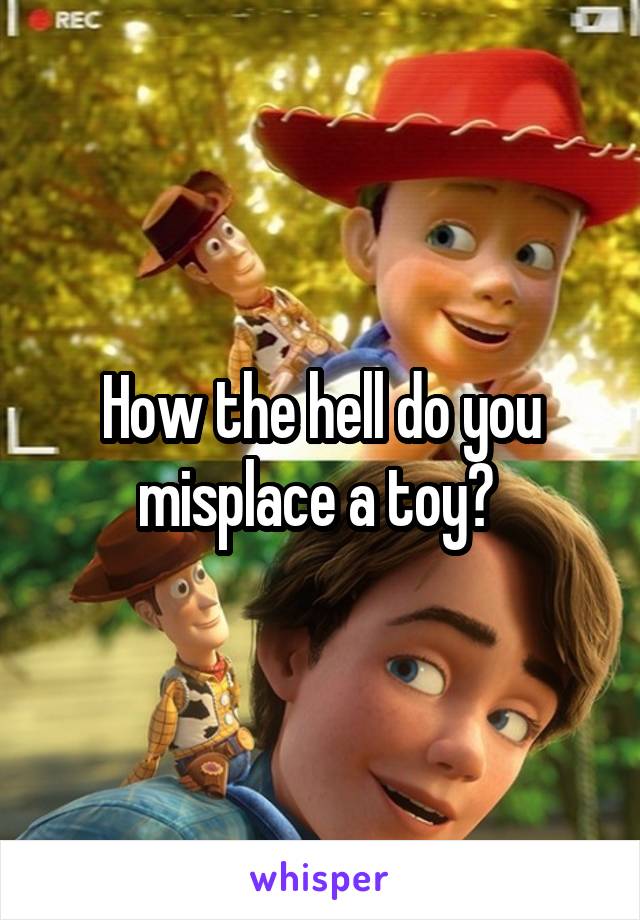 How the hell do you misplace a toy? 