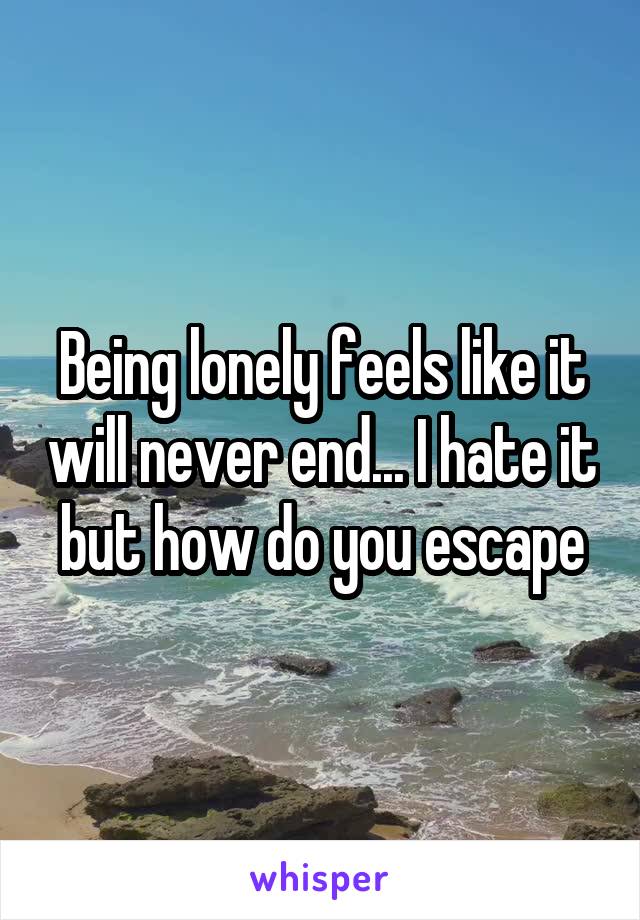 Being lonely feels like it will never end... I hate it but how do you escape