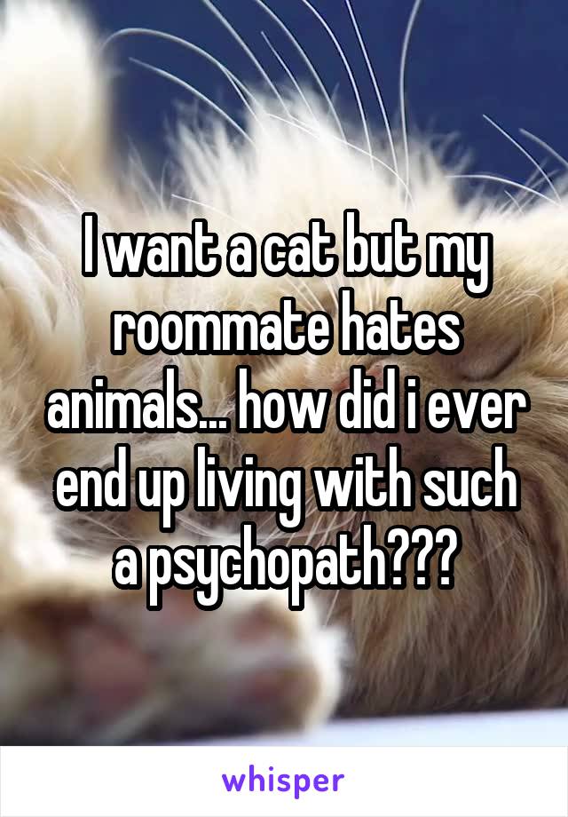 I want a cat but my roommate hates animals... how did i ever end up living with such a psychopath???