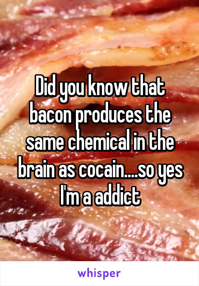 Did you know that bacon produces the same chemical in the brain as cocain....so yes I'm a addict