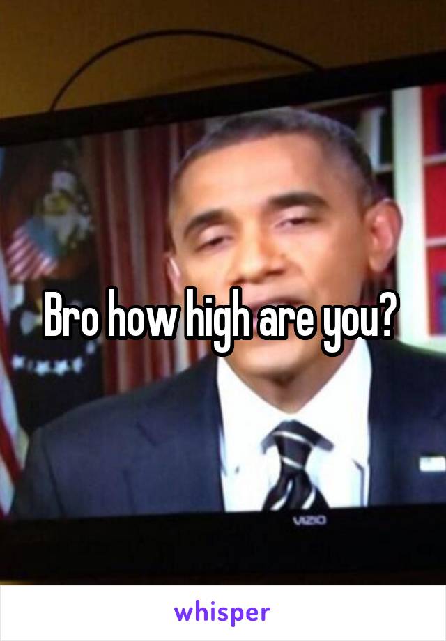 Bro how high are you? 