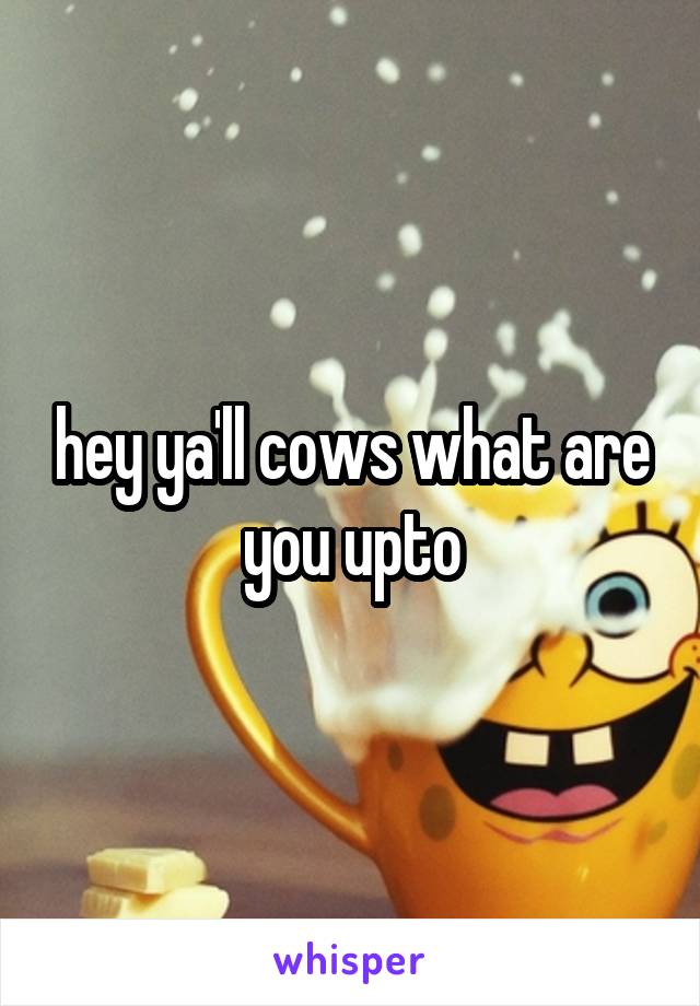 hey ya'll cows what are you upto
