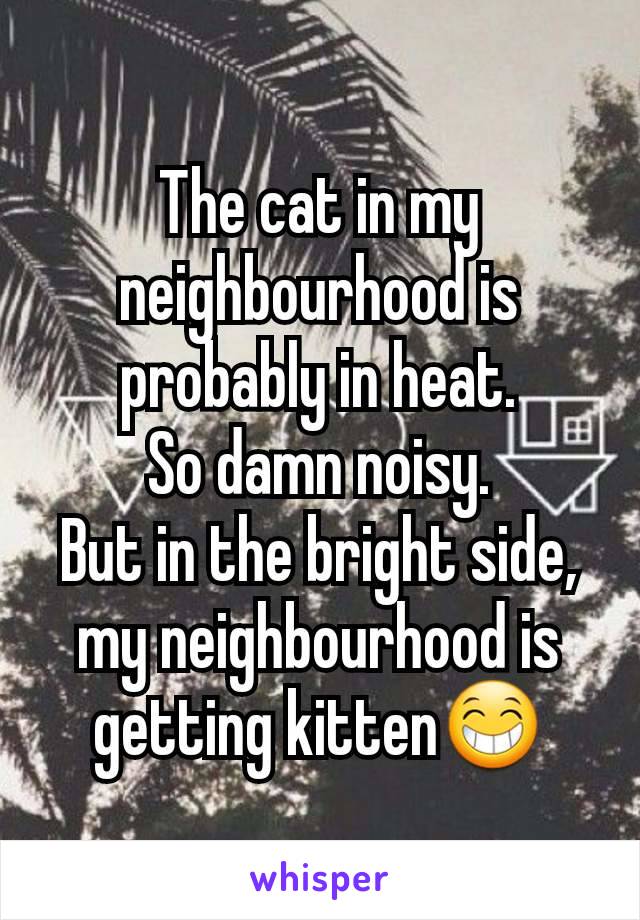 The cat in my neighbourhood is probably in heat.
So damn noisy.
But in the bright side, my neighbourhood is getting kitten😁