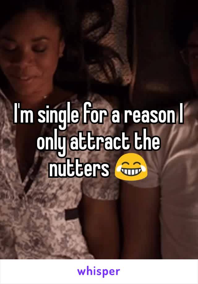 I'm single for a reason I only attract the nutters 😂