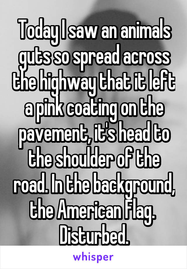 Today I saw an animals guts so spread across the highway that it left a pink coating on the pavement, it's head to the shoulder of the road. In the background, the American Flag. 
Disturbed.