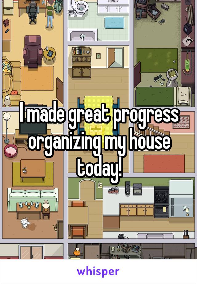 I made great progress organizing my house today!