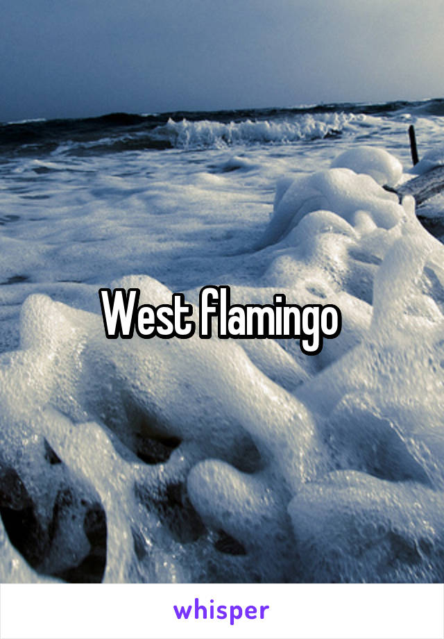 West flamingo 
