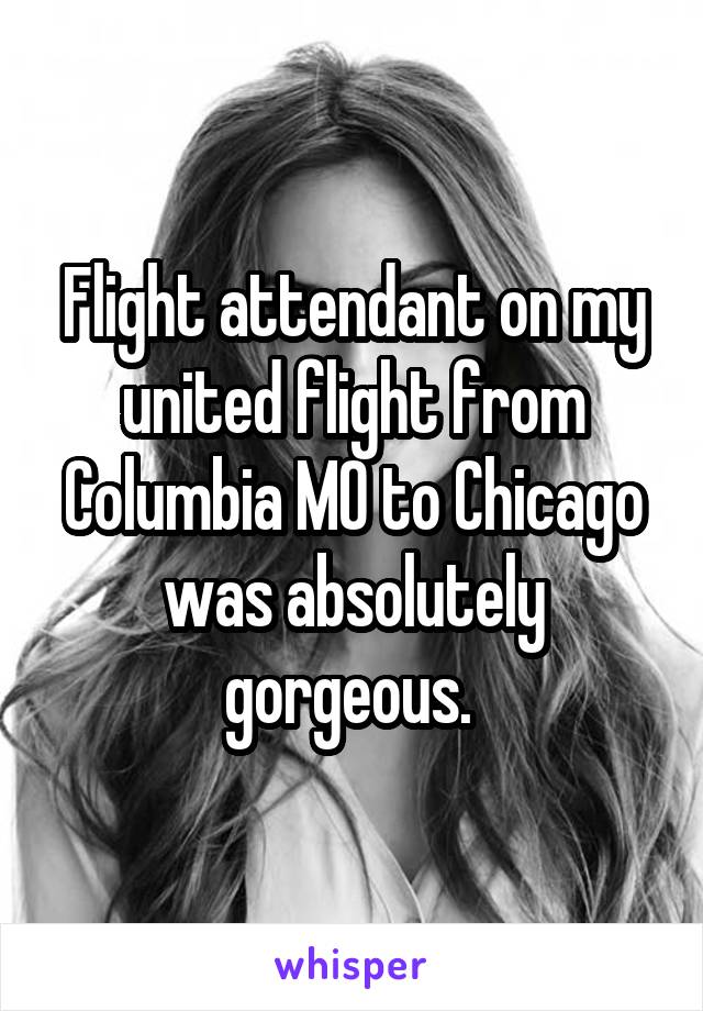 Flight attendant on my united flight from Columbia MO to Chicago was absolutely gorgeous. 