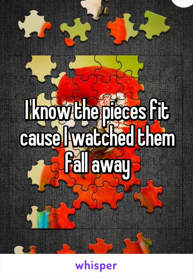 I know the pieces fit cause I watched them fall away