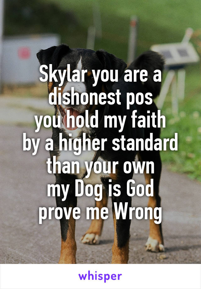 Skylar you are a dishonest pos
you hold my faith
by a higher standard than your own
my Dog is God
prove me Wrong