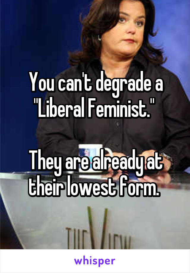 You can't degrade a "Liberal Feminist." 

They are already at their lowest form. 