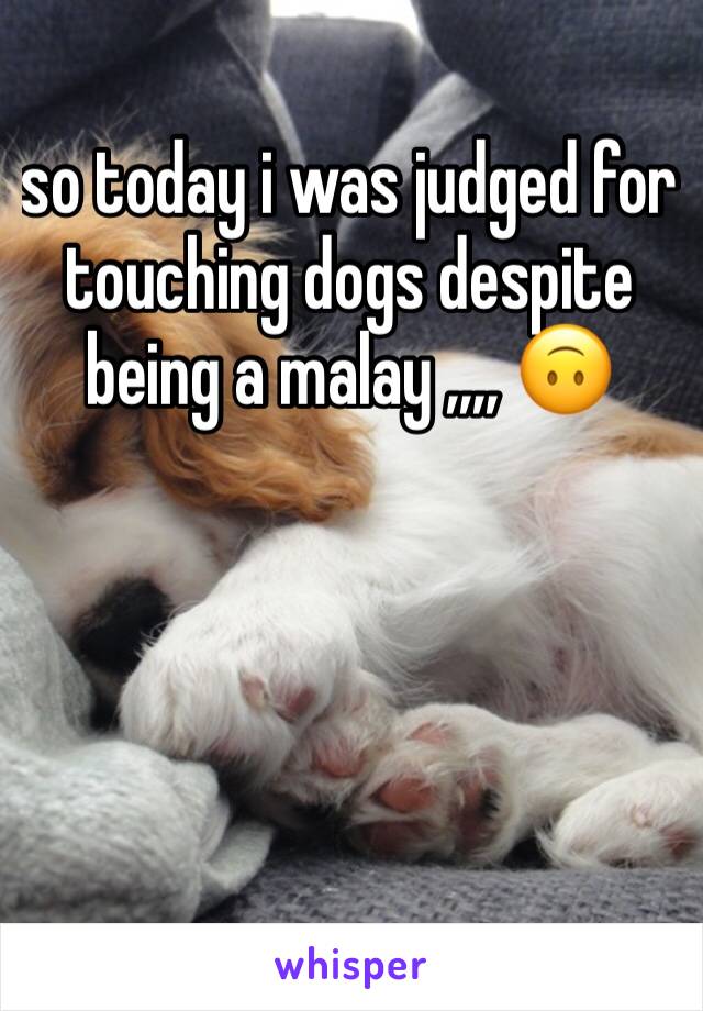 so today i was judged for touching dogs despite being a malay ,,,, 🙃