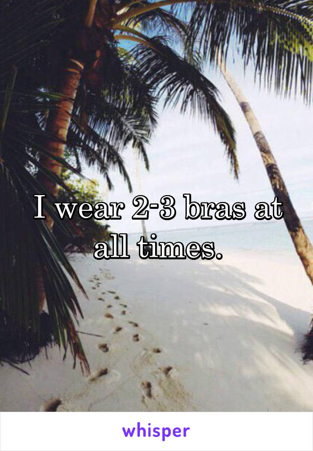 I wear 2-3 bras at all times.