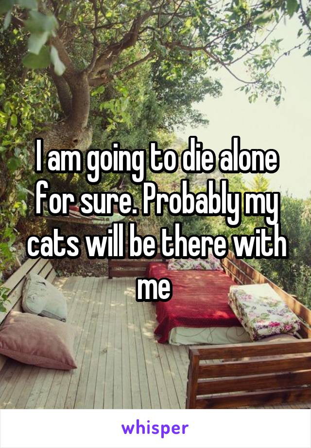 I am going to die alone for sure. Probably my cats will be there with me 