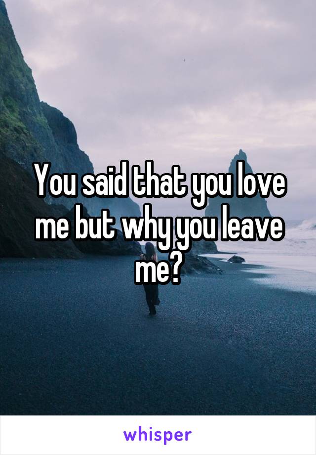 You said that you love me but why you leave me?