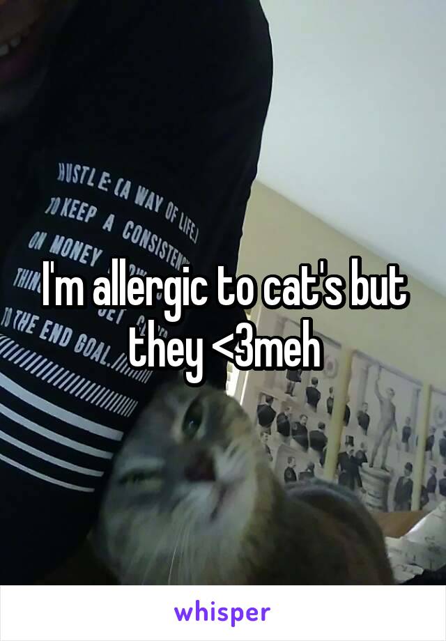 I'm allergic to cat's but they <3meh