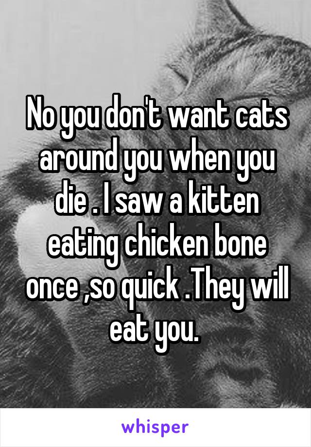 No you don't want cats around you when you die . I saw a kitten eating chicken bone once ,so quick .They will eat you. 