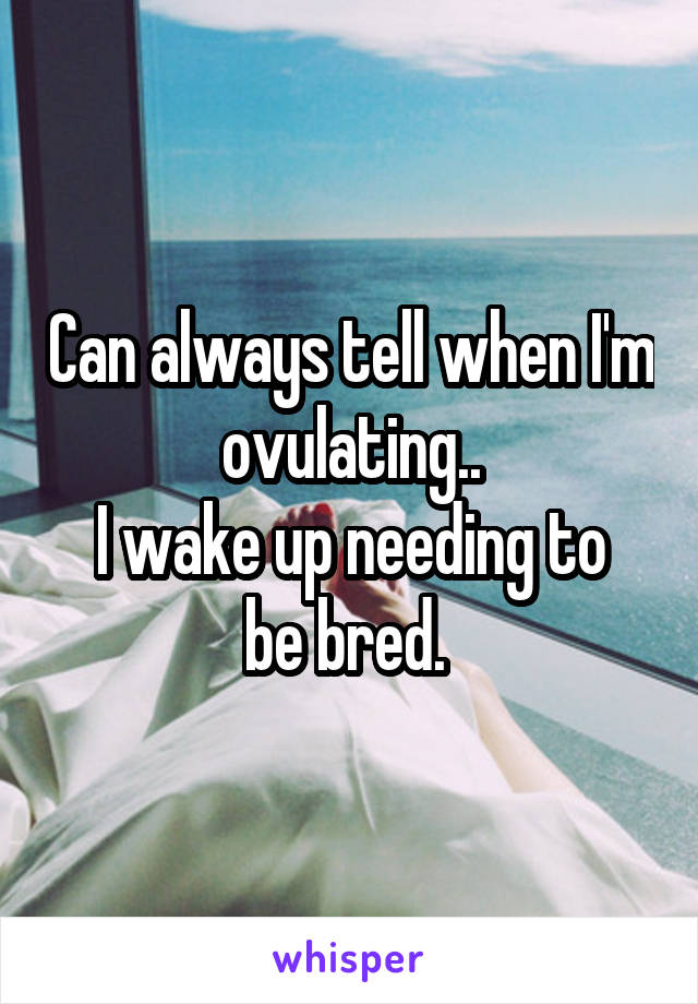 Can always tell when I'm ovulating..
I wake up needing to be bred. 