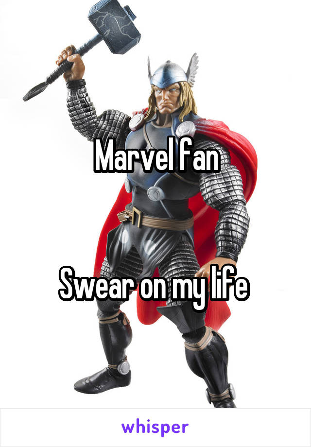 Marvel fan


Swear on my life 